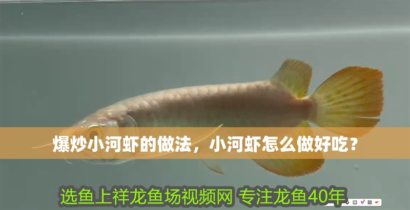 爆炒小河蝦的做法，小河蝦怎么做好吃？ 爆炒小河蝦的做法，小河蝦怎么做好吃？ 龍魚百科