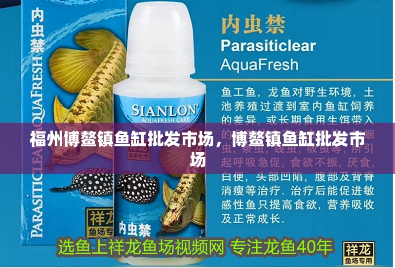 福州博鰲鎮魚缸批發市場，博鰲鎮魚缸批發市場