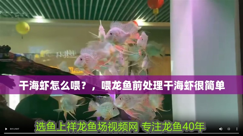 干海蝦怎么喂？，喂龍魚前處理干海蝦很簡單