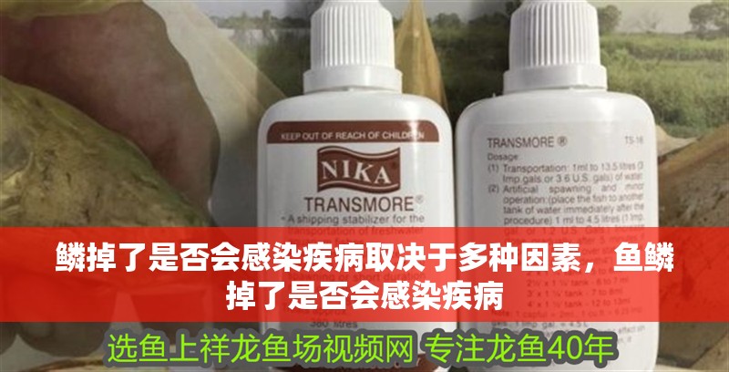 鱗掉了是否會(huì)感染疾病取決于多種因素，魚(yú)鱗掉了是否會(huì)感染疾病