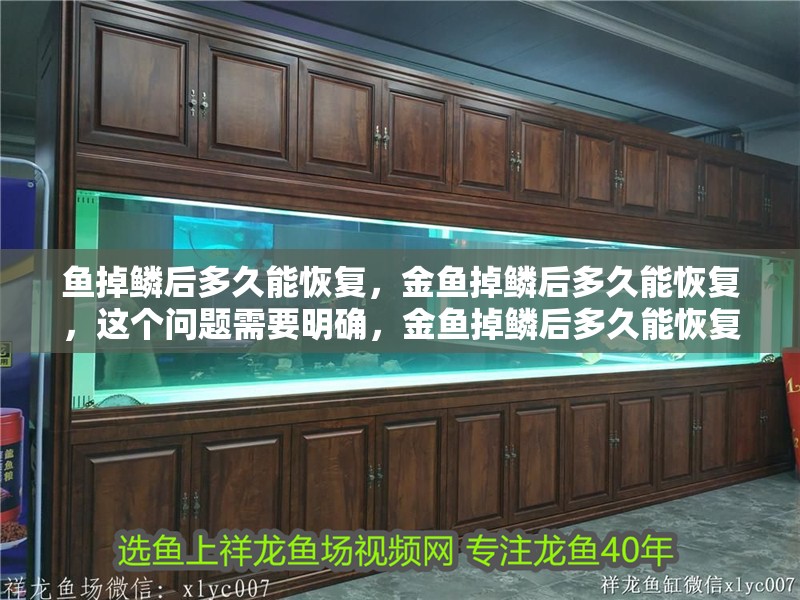 魚掉鱗后多久能恢復，金魚掉鱗后多久能恢復，這個問題需要明確，金魚掉鱗后多久能恢復