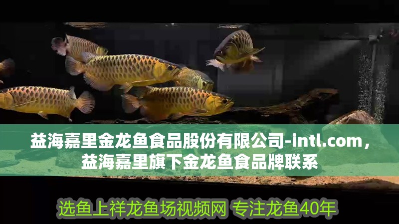 益海嘉里金龍魚(yú)食品股份有限公司-intl.com，益海嘉里旗下金龍魚(yú)食品牌聯(lián)系