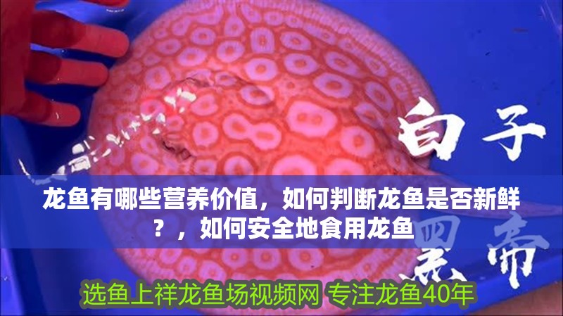 龍魚有哪些營養(yǎng)價值，如何判斷龍魚是否新鮮？，如何安全地食用龍魚