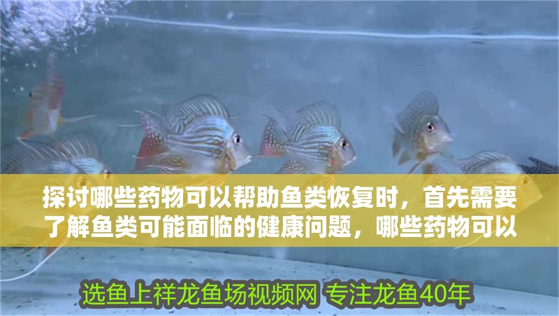 探討哪些藥物可以幫助魚類恢復(fù)時(shí)，首先需要了解魚類可能面臨的健康問題，哪些藥物可以幫助魚類恢復(fù)