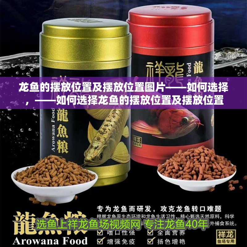 龍魚(yú)的擺放位置及擺放位置圖片——如何選擇,——如何選擇龍魚(yú)的擺放位置及擺放位置 觀賞魚(yú)百科 第2張 龍魚(yú)的擺放位置及擺放位置圖片——如何選擇,——如何選擇龍魚(yú)的擺放位置及擺放位置 龍魚(yú)的擺放位置及擺放位置圖片——如何選擇,——如何選擇龍魚(yú)的擺放位置及擺放位置 觀賞魚(yú)百科 第2張