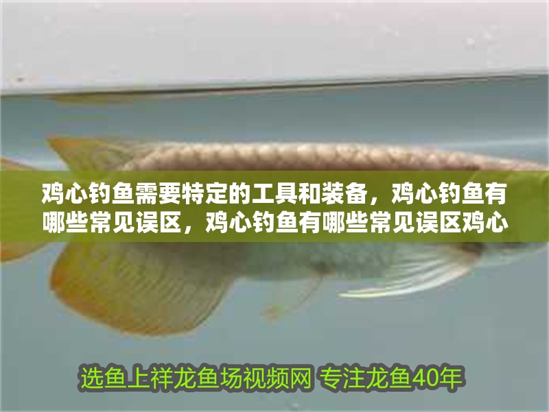 雞心釣魚需要特定的工具和裝備，雞心釣魚有哪些常見誤區(qū)，雞心釣魚有哪些常見誤區(qū)雞心釣魚有哪些常見誤區(qū)