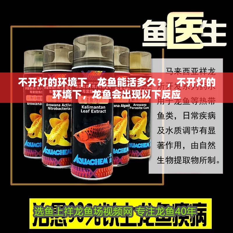 不開燈的環境下，龍魚能活多久？，不開燈的環境下，龍魚會出現以下反應