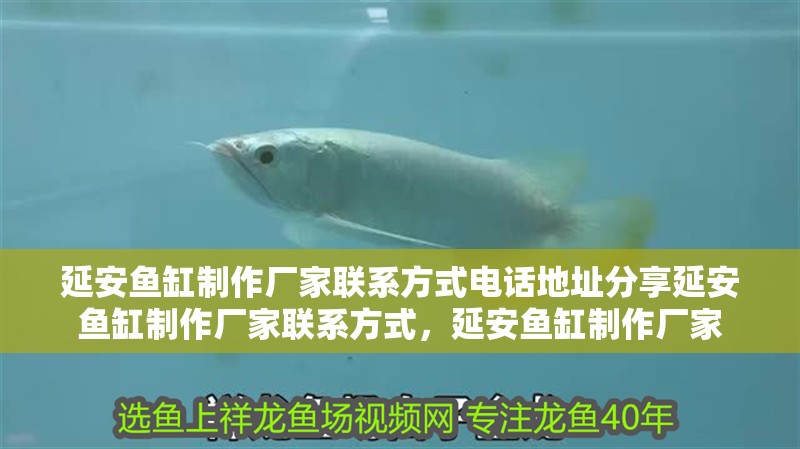 延安魚缸制作廠家聯(lián)系方式電話地址分享延安魚缸制作廠家聯(lián)系方式，延安魚缸制作廠家