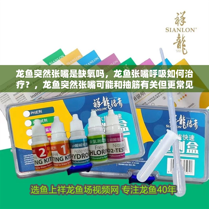 龍魚突然張嘴是缺氧嗎，龍魚張嘴呼吸如何治療？，龍魚突然張嘴可能和抽筋有關但更常見的是缺氧或水質問題