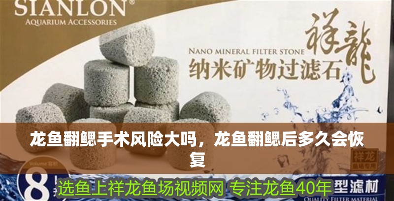 龍魚(yú)翻鰓手術(shù)風(fēng)險(xiǎn)大嗎，龍魚(yú)翻鰓后多久會(huì)恢復(fù)