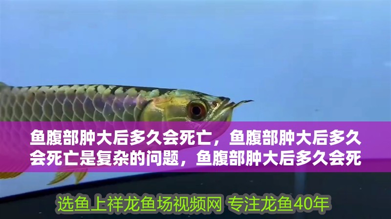 魚腹部腫大后多久會死亡，魚腹部腫大后多久會死亡是復雜的問題，魚腹部腫大后多久會死亡