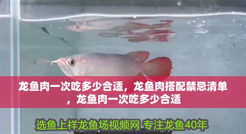 龍魚肉一次吃多少合適，龍魚肉搭配禁忌清單，龍魚肉一次吃多少合適