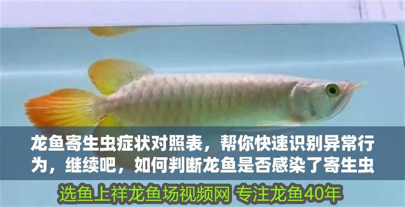 龍魚寄生蟲癥狀對照表，幫你快速識別異常行為，繼續吧，如何判斷龍魚是否感染了寄生蟲？