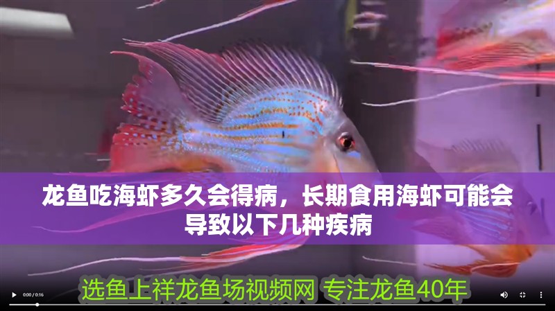 龍魚吃海蝦多久會得病，長期食用海蝦可能會導(dǎo)致以下幾種疾病
