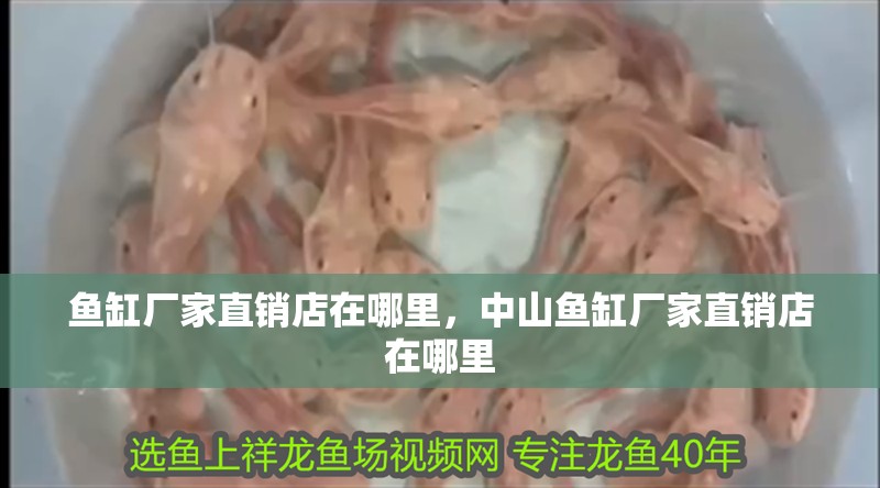 魚缸廠家直銷店在哪里，中山魚缸廠家直銷店在哪里