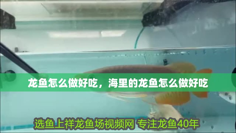 龍魚怎么做好吃，海里的龍魚怎么做好吃