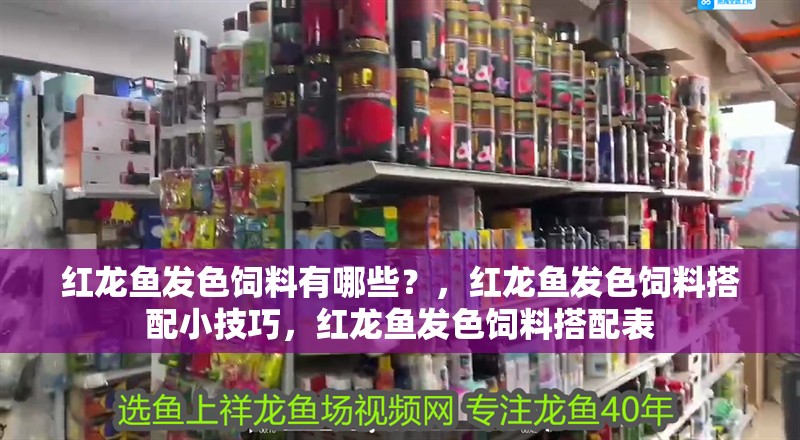 紅龍魚發色飼料有哪些？，紅龍魚發色飼料搭配小技巧，紅龍魚發色飼料搭配表
