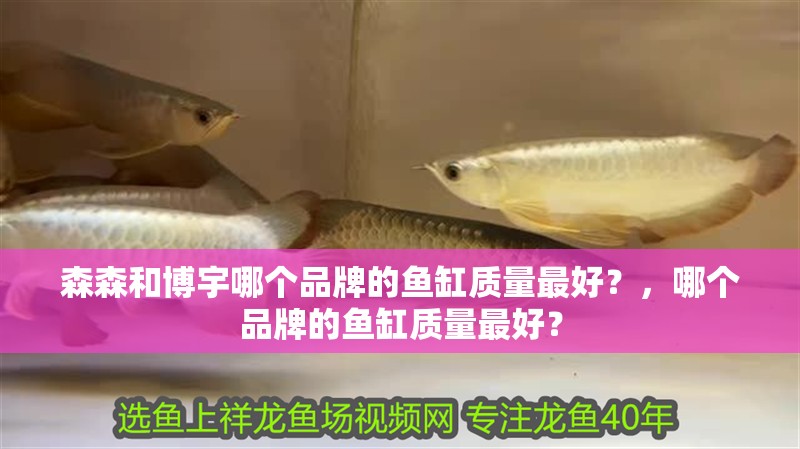 森森和博宇哪個品牌的魚缸質量最好？，哪個品牌的魚缸質量最好？