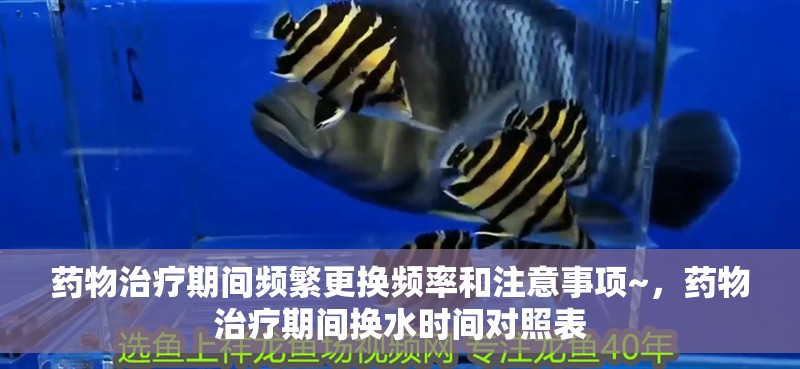 藥物治療期間頻繁更換頻率和注意事項(xiàng)~，藥物治療期間換水時(shí)間對照表