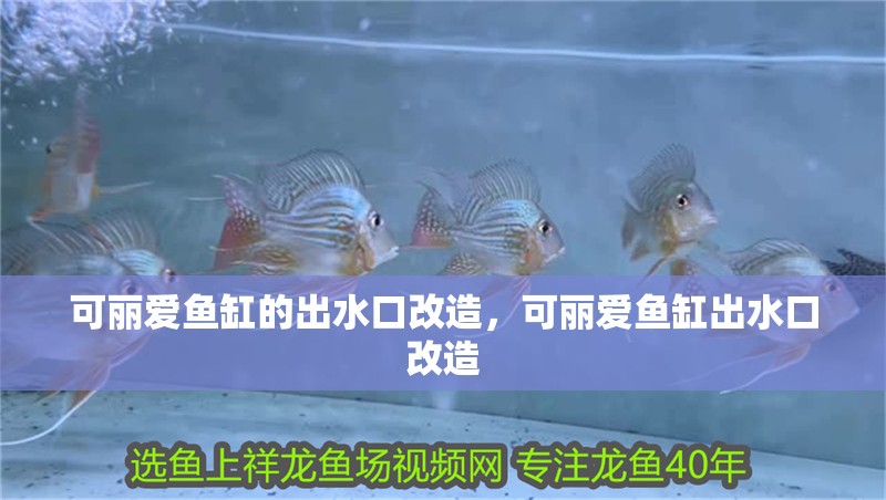 可麗愛魚缸的出水口改造，可麗愛魚缸出水口改造