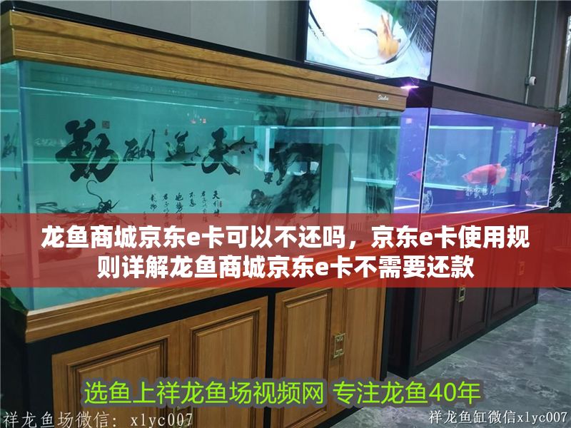 龍魚商城京東e卡可以不還嗎，京東e卡使用規則詳解龍魚商城京東e卡不需要還款