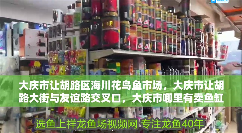 大慶市讓胡路區海川花鳥魚市場，大慶市讓胡路大街與友誼路交叉口，大慶市哪里有賣魚缸的市場