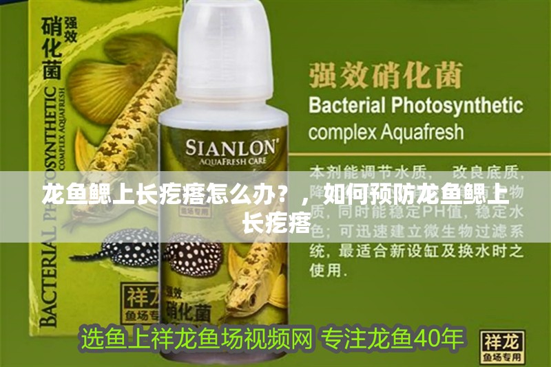 龍魚鰓上長疙瘩怎么辦？，如何預防龍魚鰓上長疙瘩