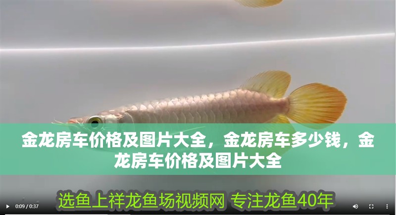 金龍房車價格及圖片大全，金龍房車多少錢，金龍房車價格及圖片大全