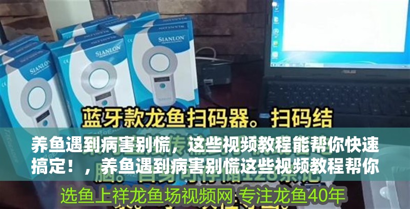 養魚遇到病害別慌，這些視頻教程能幫你快速搞定！，養魚遇到病害別慌這些視頻教程幫你快速搞定魚病防治