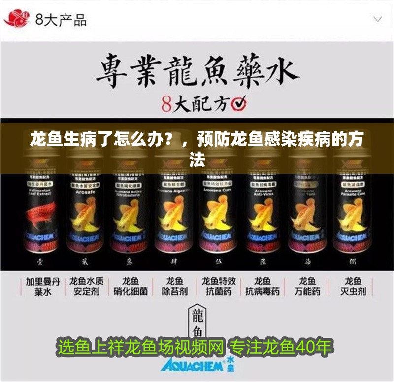 龍魚生病了怎么辦？，預(yù)防龍魚感染疾病的方法
