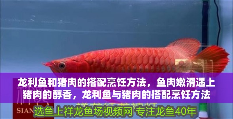 龍利魚和豬肉的搭配烹飪方法，魚肉嫩滑遇上豬肉的醇香，龍利魚與豬肉的搭配烹飪方法