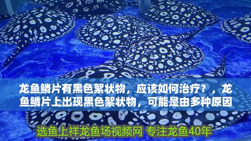 龍魚鱗片有黑色絮狀物，應該如何治療？，龍魚鱗片上出現(xiàn)黑色絮狀物，可能是由多種原因引起的