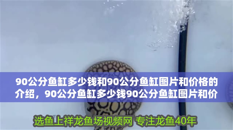 90公分魚缸多少錢和90公分魚缸圖片和價格的介紹，90公分魚缸多少錢90公分魚缸圖片和價格
