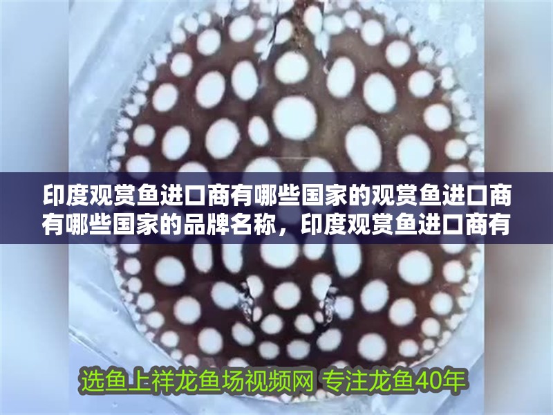 印度觀賞魚進(jìn)口商有哪些國家的觀賞魚進(jìn)口商有哪些國家的品牌名稱，印度觀賞魚進(jìn)口商有哪些國家的品牌名稱是英文