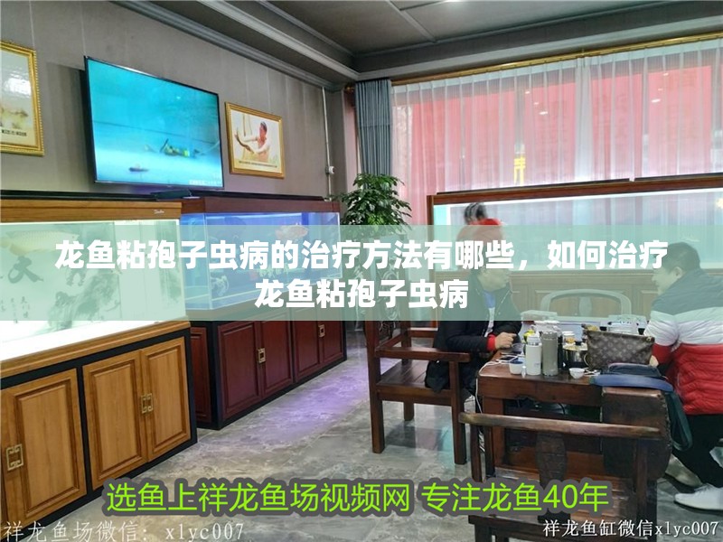 龍魚粘孢子蟲病的治療方法有哪些，如何治療龍魚粘孢子蟲病