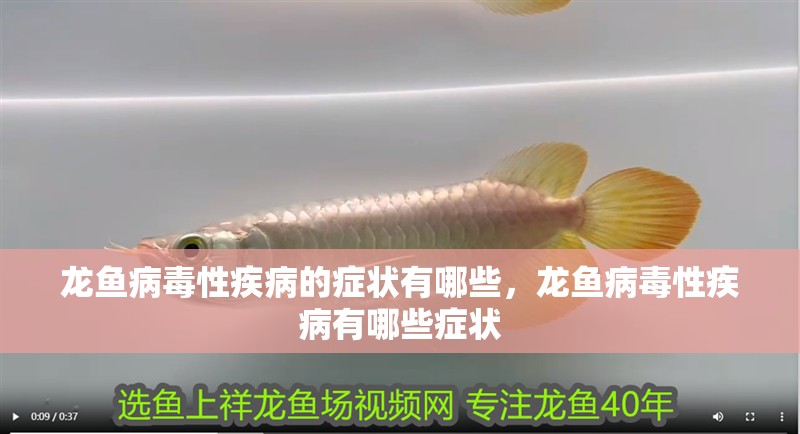 龍魚病毒性疾病的癥狀有哪些，龍魚病毒性疾病有哪些癥狀