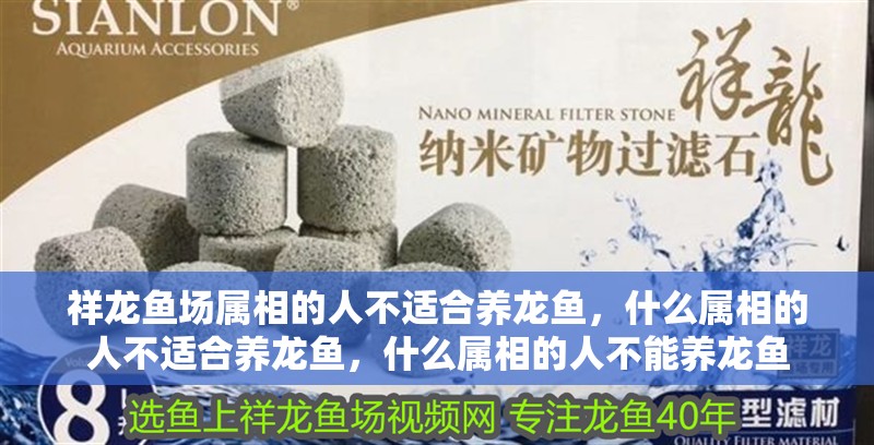 祥龍魚(yú)場(chǎng)屬相的人不適合養(yǎng)龍魚(yú)，什么屬相的人不適合養(yǎng)龍魚(yú)，什么屬相的人不能養(yǎng)龍魚(yú)