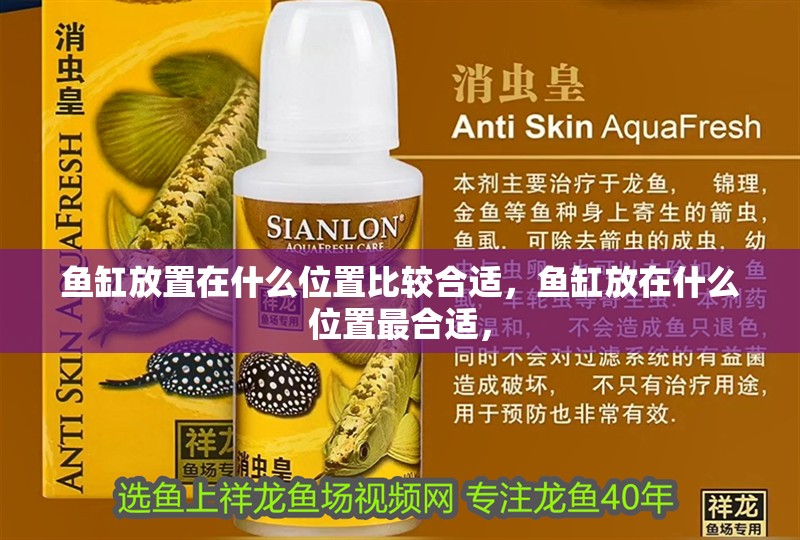 魚缸放置在什么位置比較合適，魚缸放在什么位置最合適，