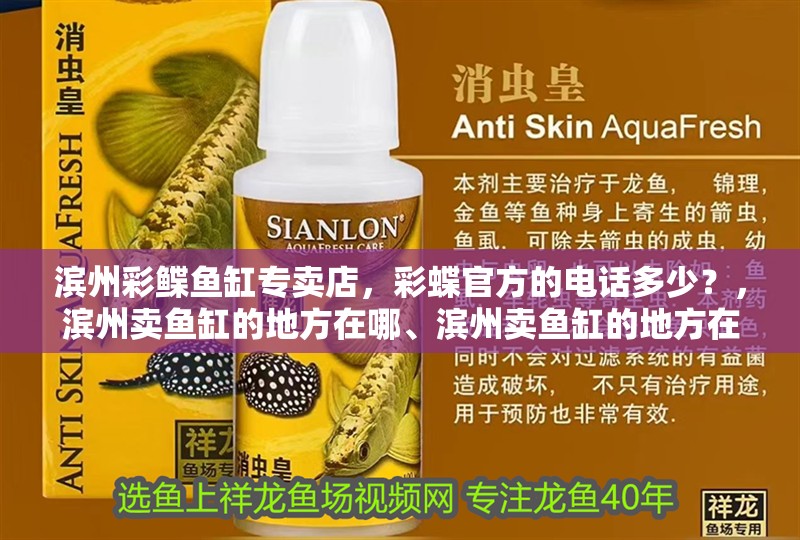 濱州彩鰈魚缸專賣店，彩蝶官方的電話多少？，濱州賣魚缸的地方在哪、濱州賣魚缸的地方在哪