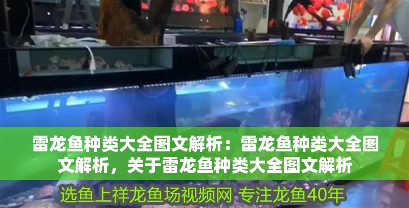 雷龍魚種類大全圖文解析：雷龍魚種類大全圖文解析，關(guān)于雷龍魚種類大全圖文解析