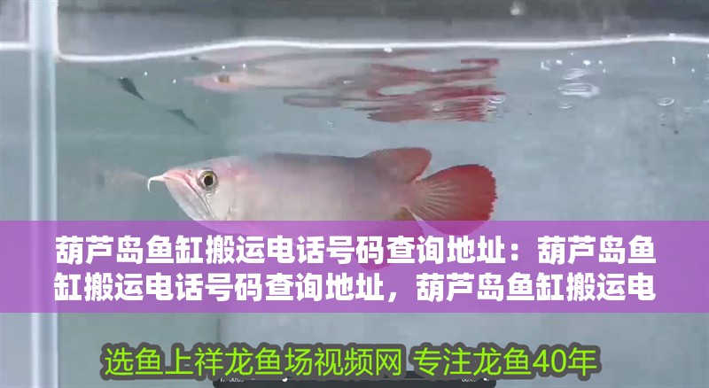 葫蘆島魚缸搬運電話號碼查詢地址：葫蘆島魚缸搬運電話號碼查詢地址，葫蘆島魚缸搬運電話號碼查詢