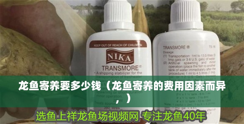 龍魚寄養(yǎng)要多少錢（龍魚寄養(yǎng)的費用因素而異，）