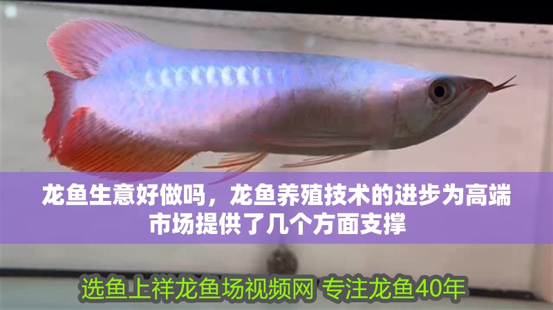龍魚生意好做嗎，龍魚養殖技術的進步為高端市場提供了幾個方面支撐