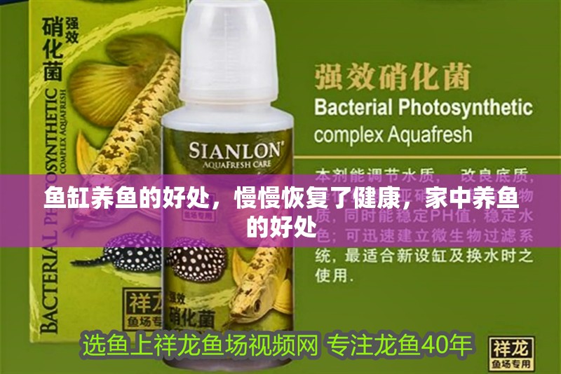 魚(yú)缸養(yǎng)魚(yú)的好處，慢慢恢復(fù)了健康，家中養(yǎng)魚(yú)的好處