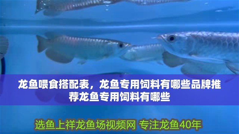 龍魚喂食搭配表，龍魚專用飼料有哪些品牌推薦龍魚專用飼料有哪些