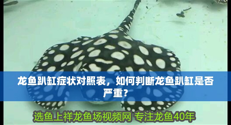 龍魚趴缸癥狀對照表，如何判斷龍魚趴缸是否嚴重？