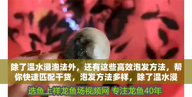 除了溫水浸泡法外，還有這些高效泡發(fā)方法，幫你快速匹配干貨，泡發(fā)方法多樣，除了溫水浸泡外，還有以下幾種