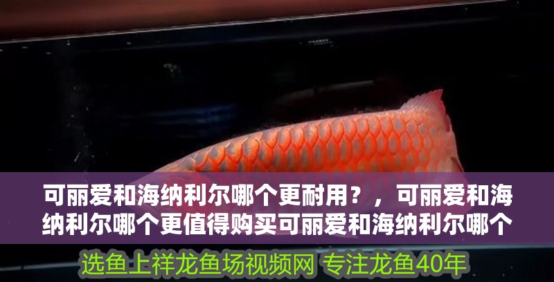 可麗愛和海納利爾哪個更耐用？，可麗愛和海納利爾哪個更值得購買可麗愛和海納利爾哪個更受歡迎