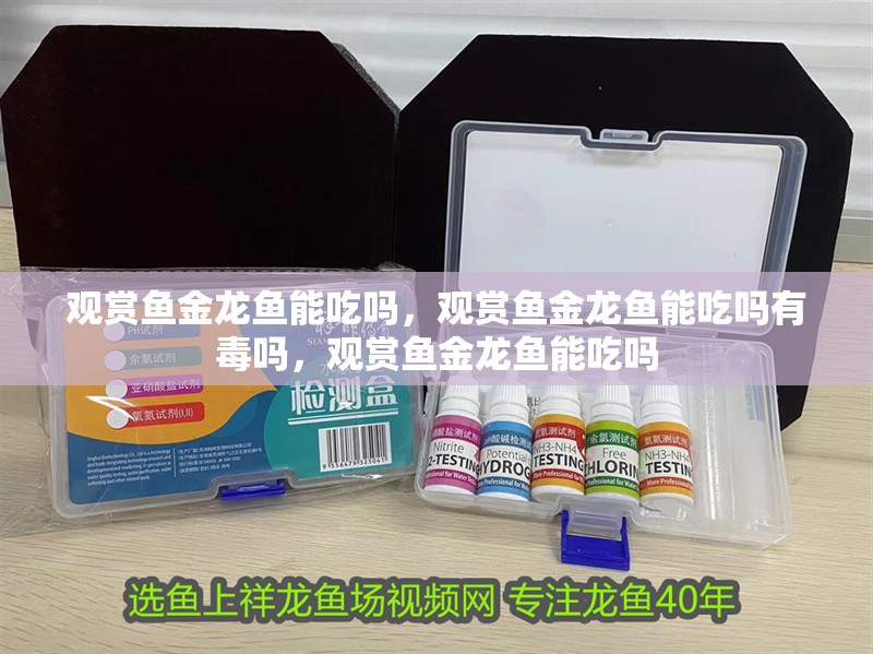 觀賞魚金龍魚能吃嗎，觀賞魚金龍魚能吃嗎有毒嗎，觀賞魚金龍魚能吃嗎