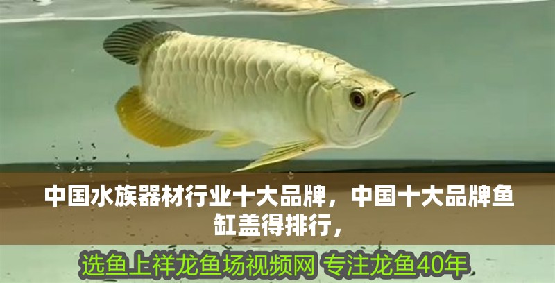 中國水族器材行業十大品牌，中國十大品牌魚缸蓋得排行，